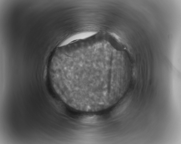 X0000088140206200706111431