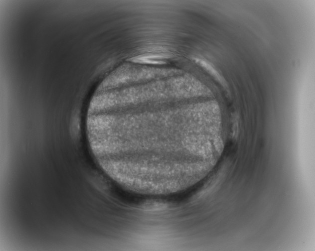 X0000088140207200706111431