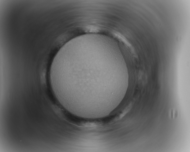 X0000088140209200706111431