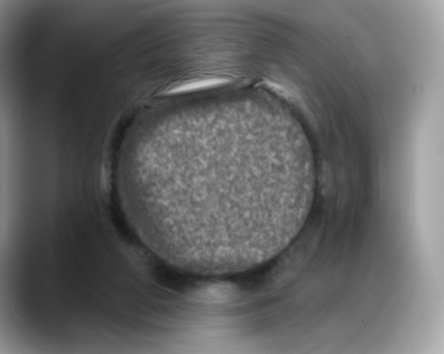 X0000088140210200706111431