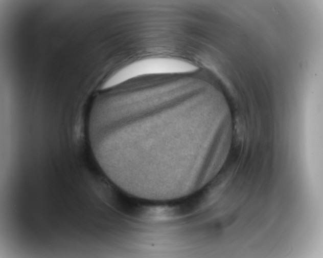 X0000088140212200706111431