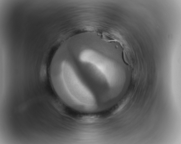 X0000088140213200706111431