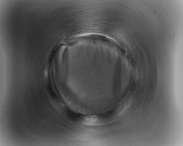 X0000088140214200706111431