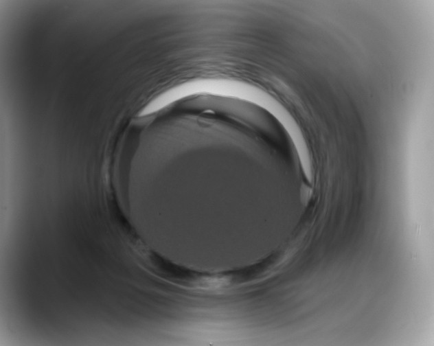 X0000088140217200706111431