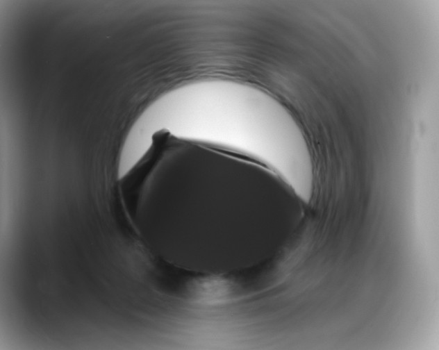 X0000088140219200706111431