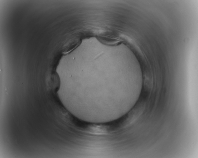 X0000088140221200706111431