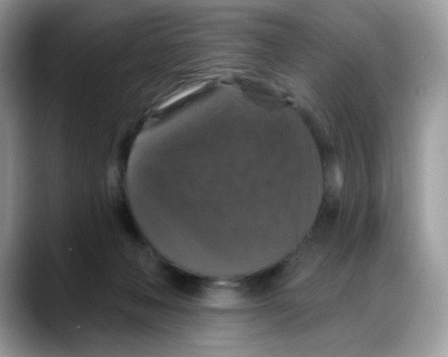 X0000088140222200706111431