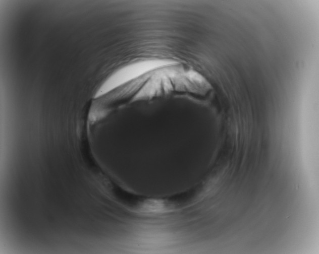 X0000088140227200706111431