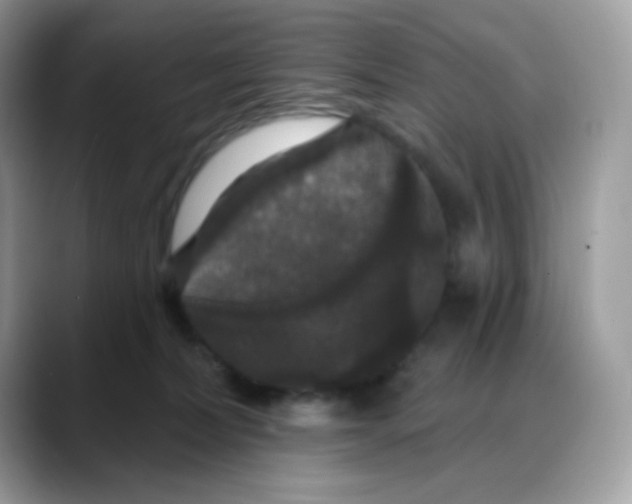 X0000088140228200706111431