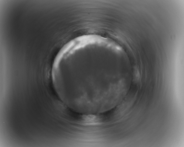 X0000088140230200706111431