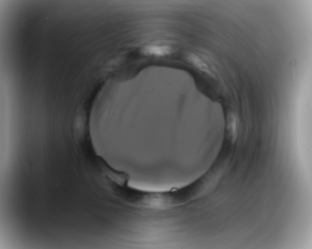 X0000088140231200706111431