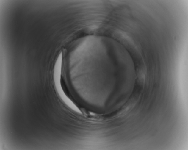 X0000088140232200706111431