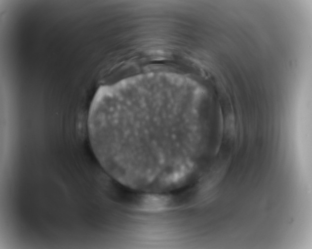 X0000088140234200706111431