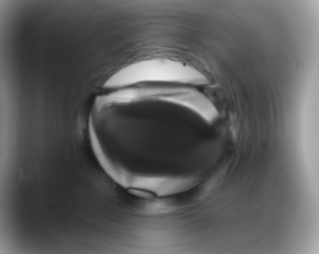 X0000088140235200706111431