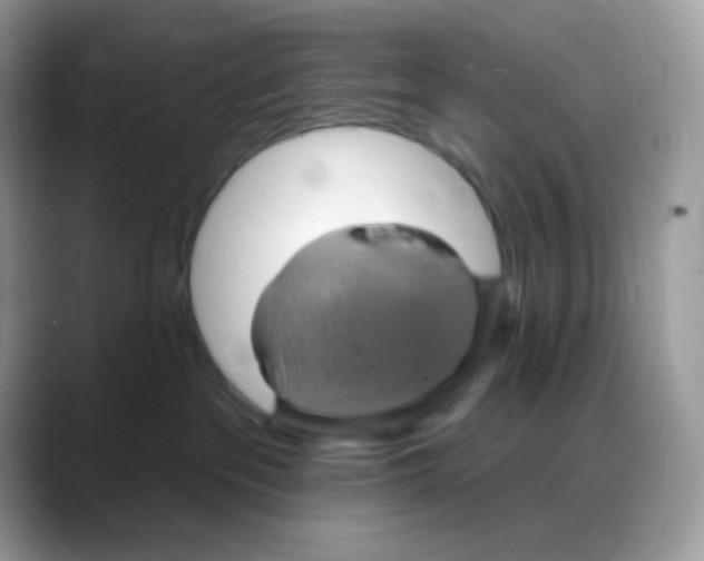 X0000088140237200706111431