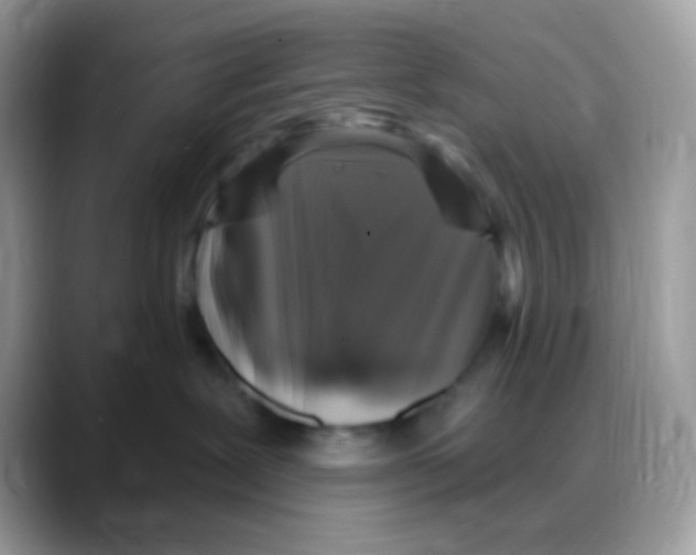 X0000088140239200706111431