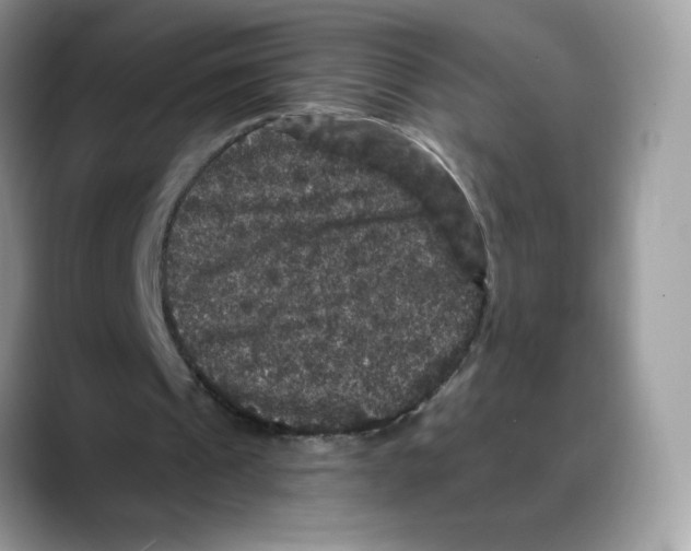 X0000088140241200706111430