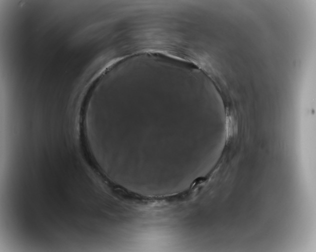 X0000088140243200706111430