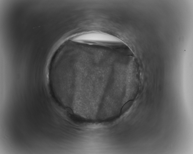 X0000088140246200706111430