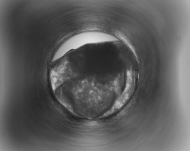 X0000088140249200706111430