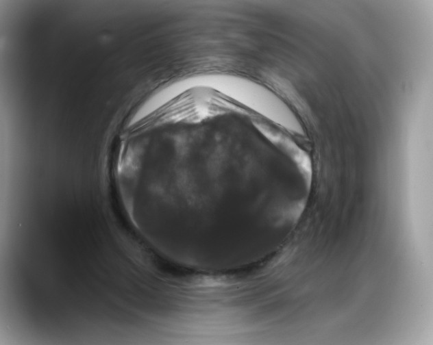 X0000088140250200706111430