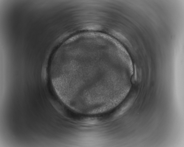 X0000088140252200706111430