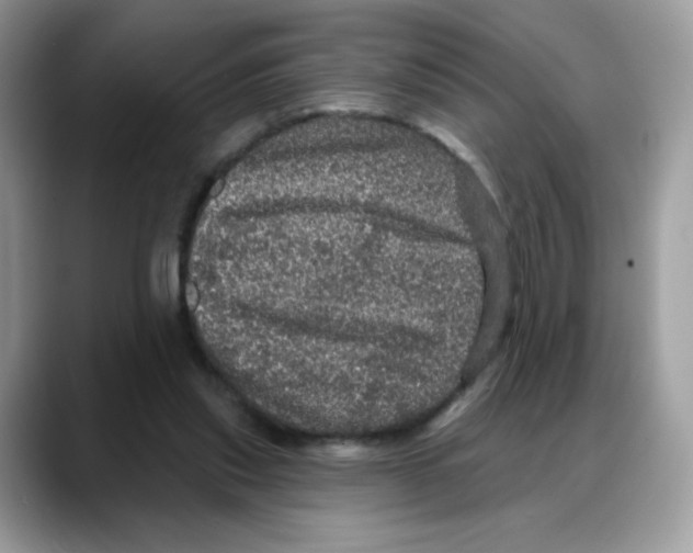 X0000088140253200706111430