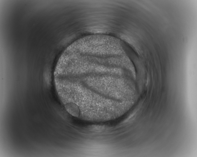 X0000088140255200706111430