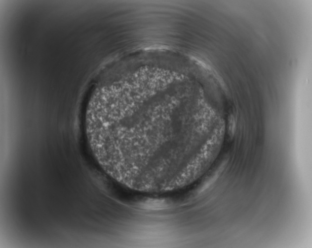 X0000088140256200706111430