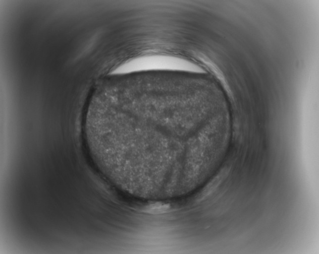 X0000088140257200706111430