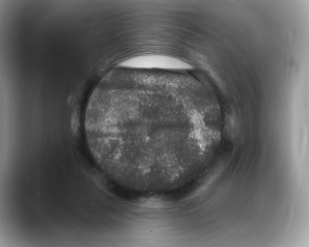 X0000088140259200706111430