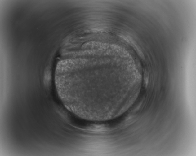 X0000088140260200706111430