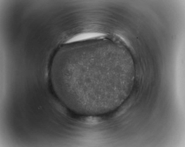 X0000088140261200706111430