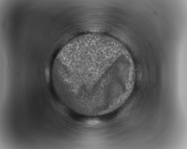 X0000088140262200706111430