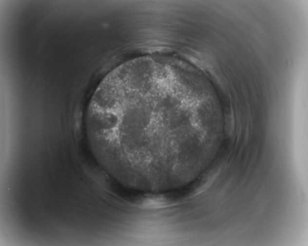 X0000088140263200706111430