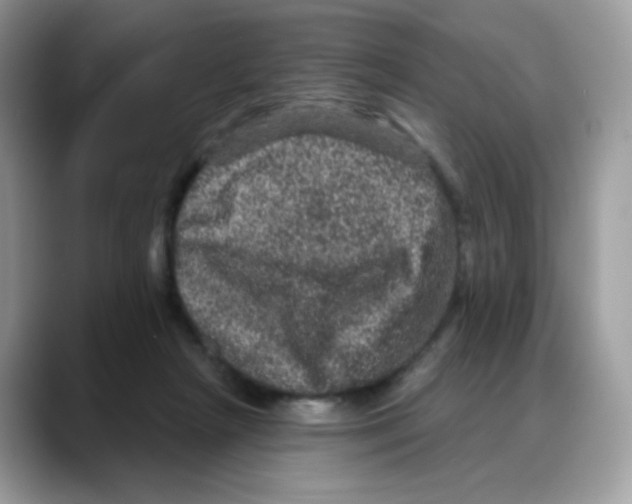 X0000088140265200706111431