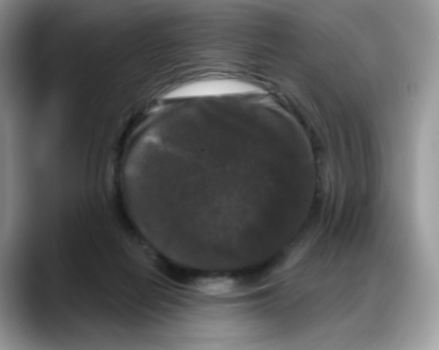 X0000088140266200706111431