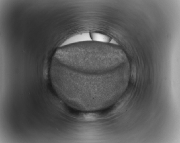 X0000088140268200706111431