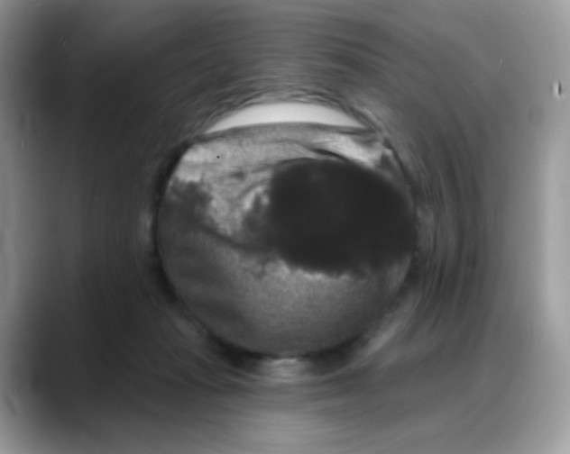 X0000088140269200706111431