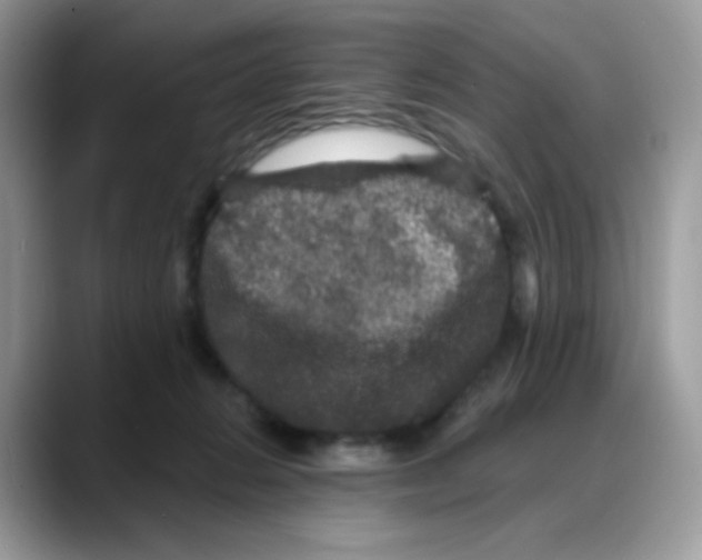 X0000088140270200706111431