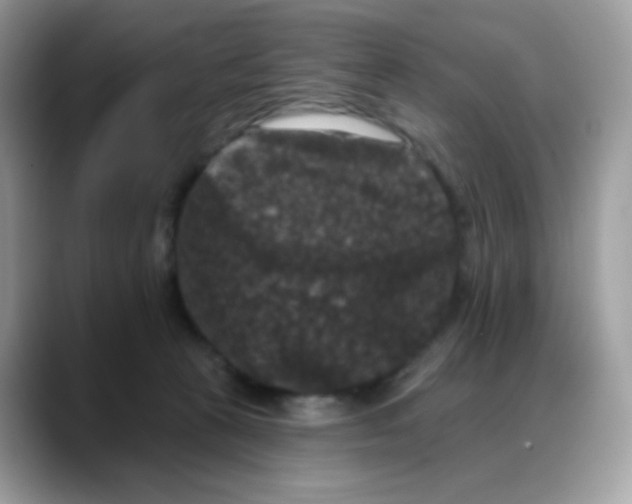 X0000088140273200706111431