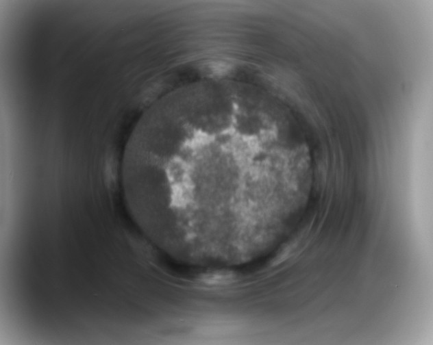 X0000088140274200706111431