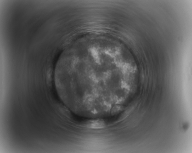 X0000088140275200706111431