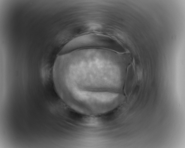 X0000088140276200706111431