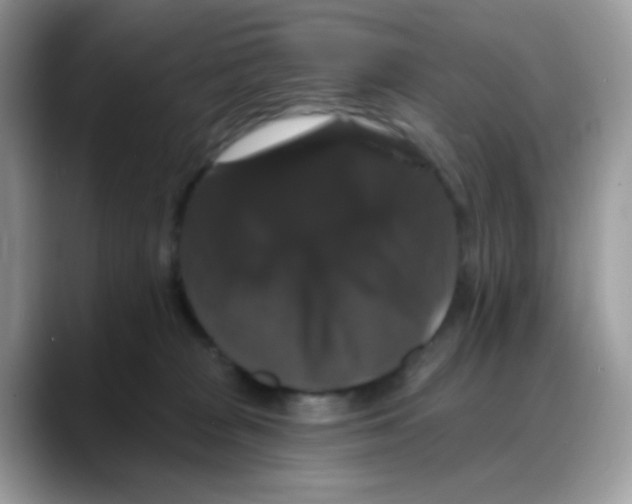 X0000088140277200706111431