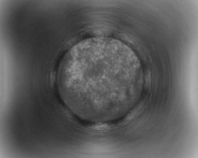 X0000088140278200706111431