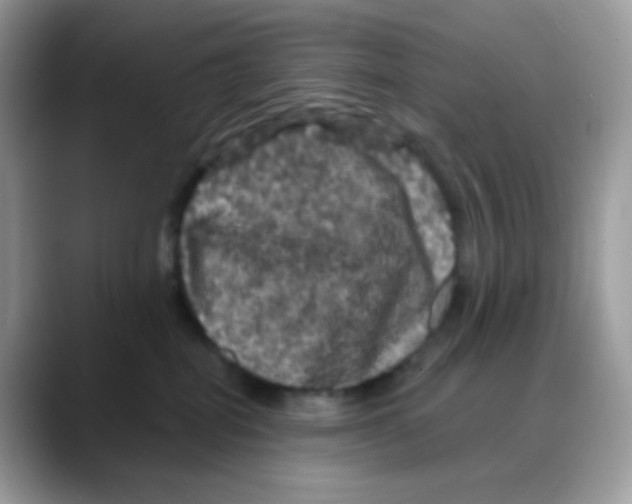 X0000088140282200706111431