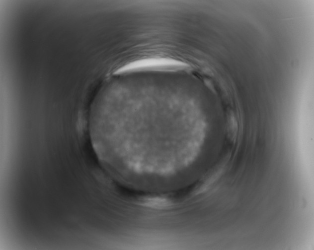 X0000088140284200706111431