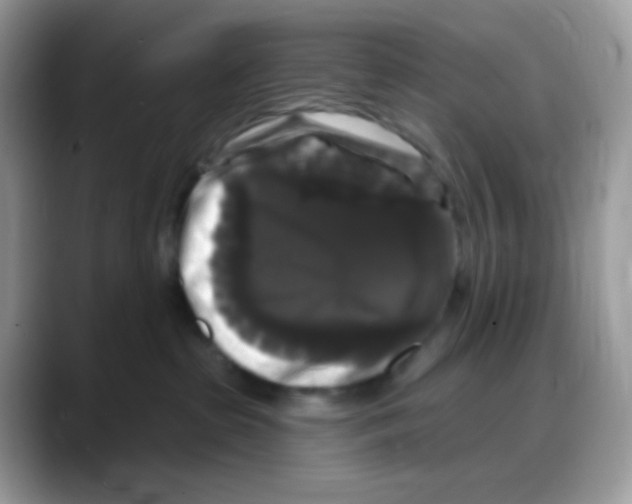 X0000088140285200706111431