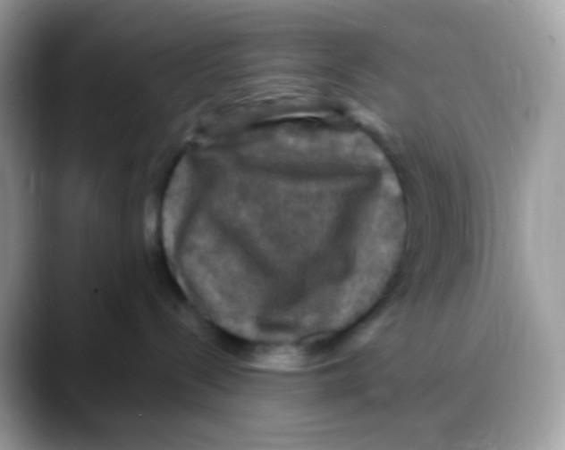 X0000088140288200706111431